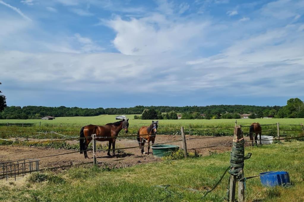 Belle Suite Dans Corps De Ferme - Logement Alicia Villiers-sous-Grez 外观 照片