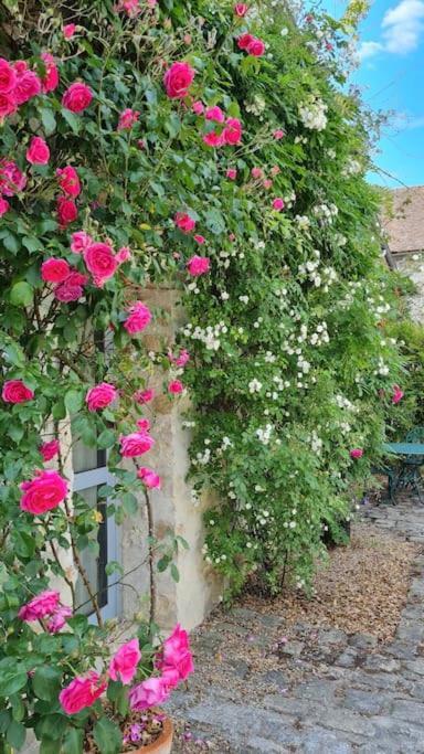 Belle Suite Dans Corps De Ferme - Logement Alicia Villiers-sous-Grez 外观 照片